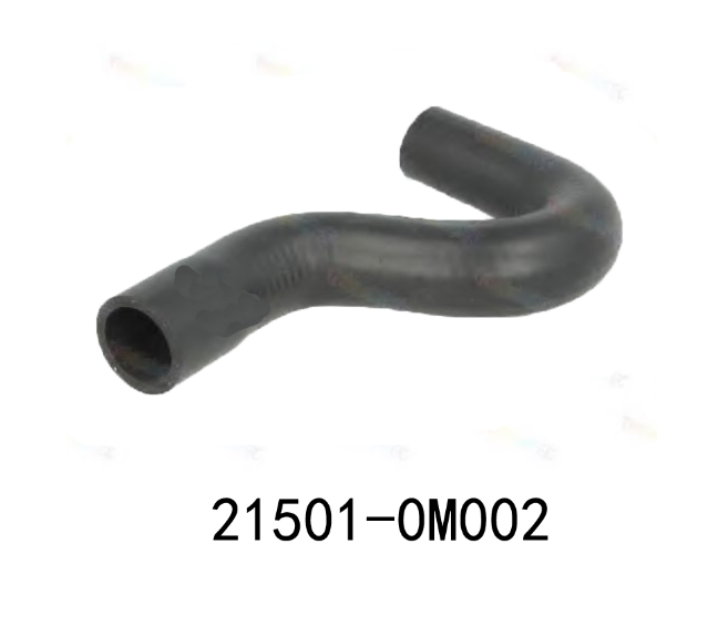 21501-0M002