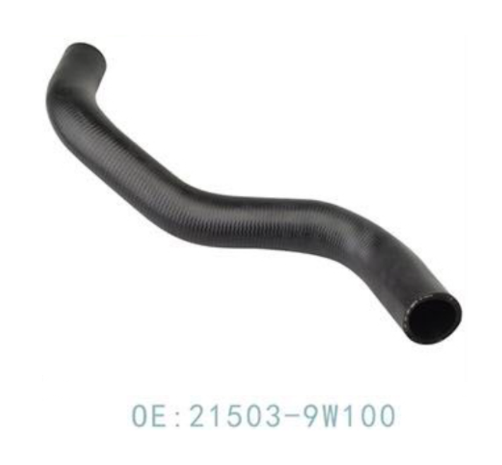 21503-9W100